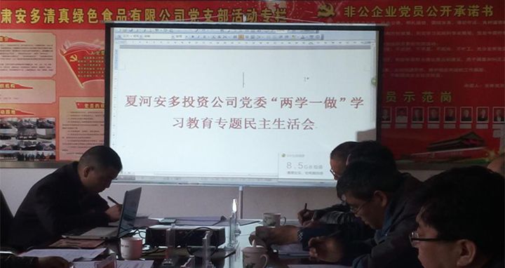 夏河安多投资公司党委召开“两学一做”学习教育
